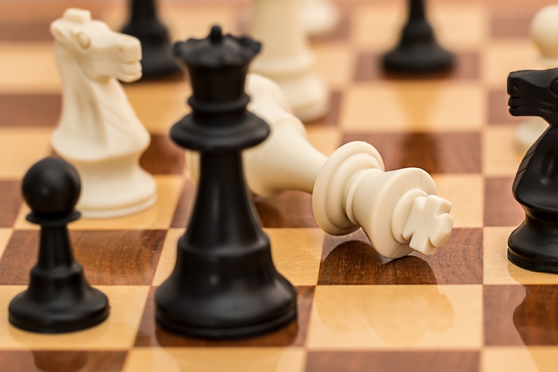 close in view of chess board. black queen standing next to tipped over white king